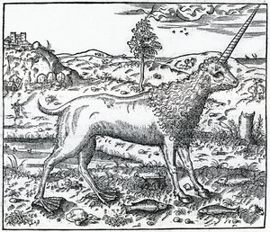 Unicornio de Campchurch, ilustración de 